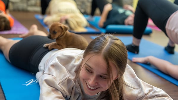 Puppy yoga, a first on campus