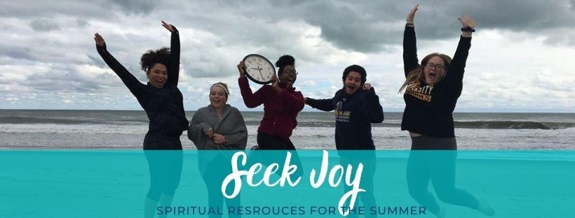 seek joy