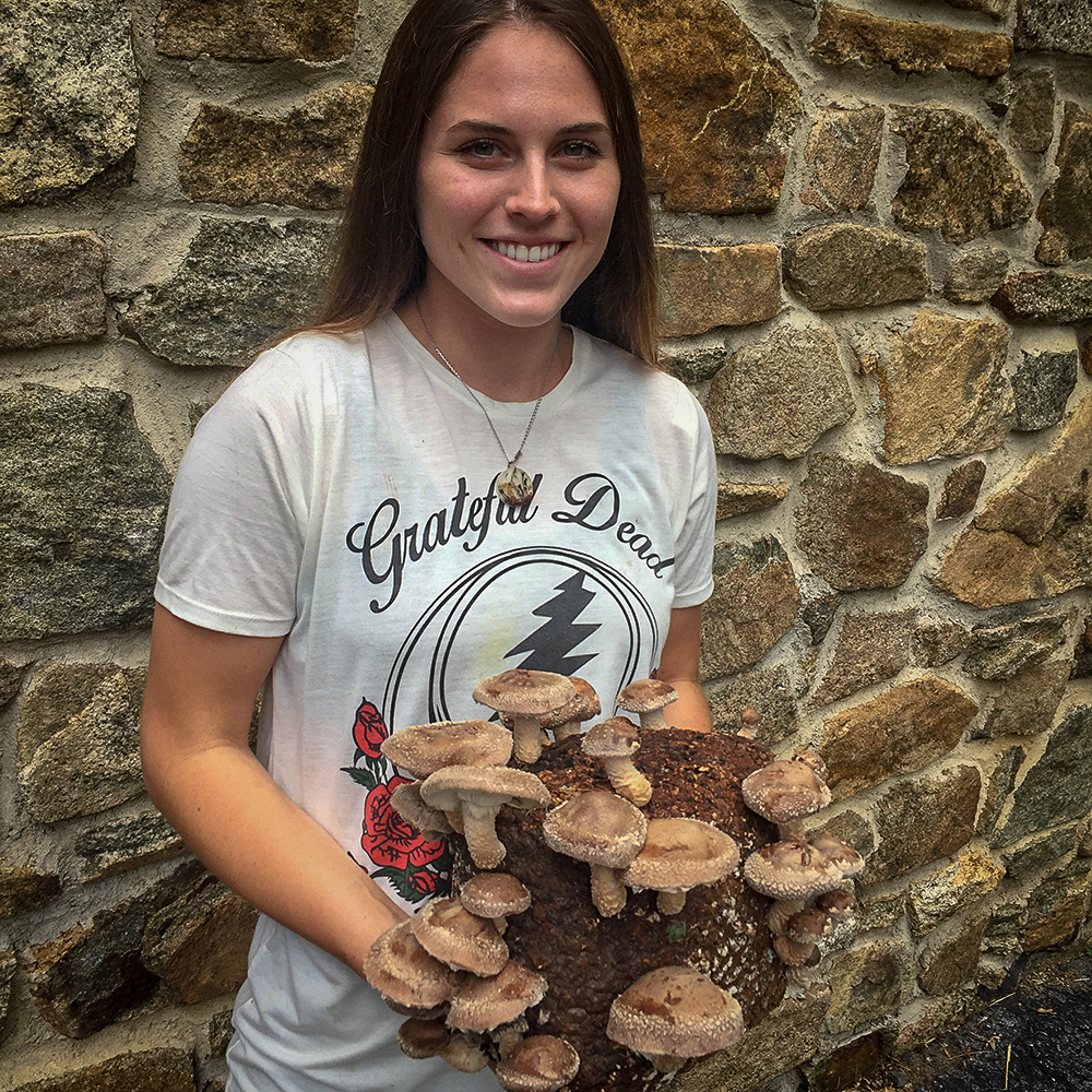 Summer Internship Promoting Mushrooms on Instagram
