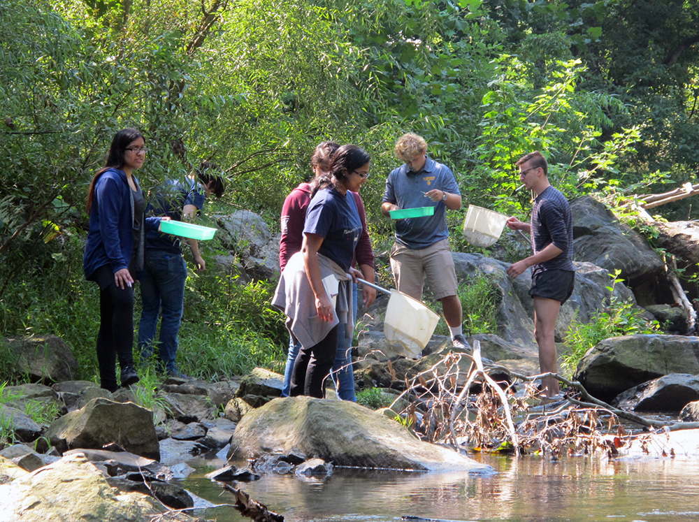 Students Study Chester Creek after Drilling Fluid Spill